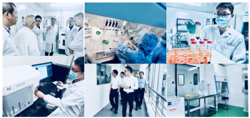 荣泽生物集团启动IPO上市辅导,专注细胞与基因技术转化
